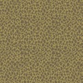 leopard pattern texture skin animal fur print cheetah fabric wild tiger brown seamless cat wildlife nature jaguar Royalty Free Stock Photo
